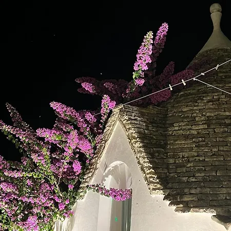 Trulli Harmonia Con Piscina - Alberobello