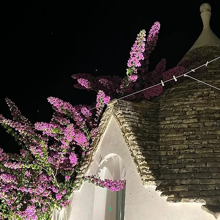 Trulli Harmonia Con Piscina - Αλμπερομπέλο